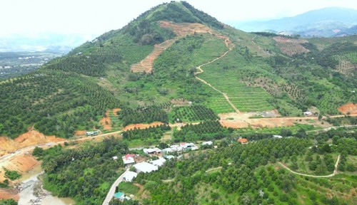 From poverty to prosperity, ethnic minority farmer uplifts his village with modern agriculture - ảnh 2