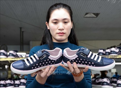 Footwear industry set to earn 27 billion USD from 2024 exports - ảnh 1