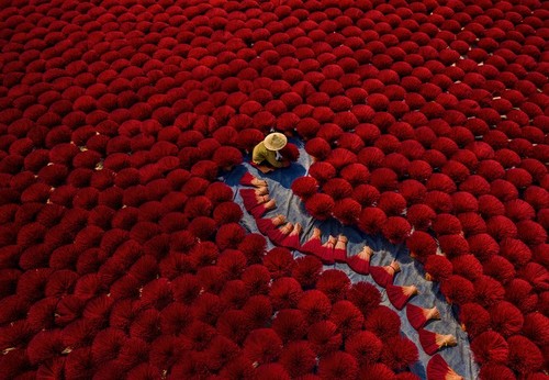 Female photographer promotes Vietnam’s beauty to the world - ảnh 11