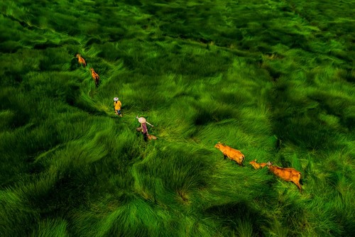 Female photographer promotes Vietnam’s beauty to the world - ảnh 4