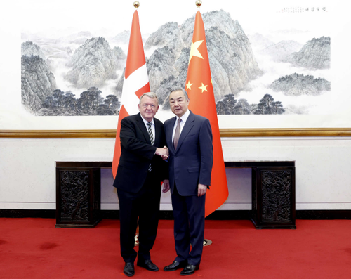 China respects Denmark's sovereignty over Greenland, FM says - ảnh 1