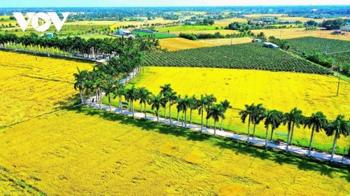 Don Ca Tai Tu emerges as a tourism magnet in Long An  - ảnh 2