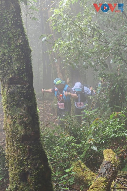 Vietnam’s Ta Xua ranks among world’s best off-grid travel spots for 2026 - ảnh 9