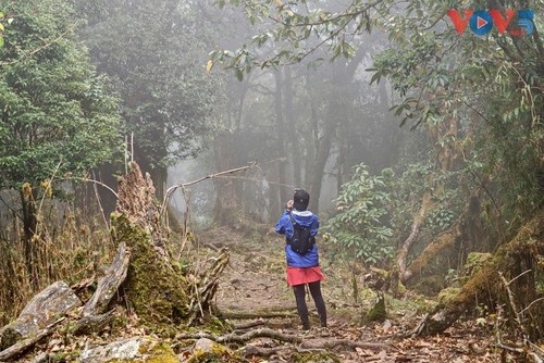 Vietnam’s Ta Xua ranks among world’s best off-grid travel spots for 2026 - ảnh 10