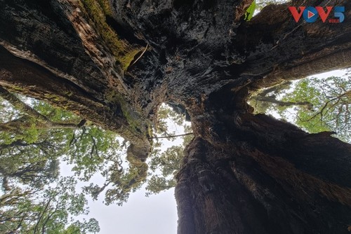 Vietnam’s Ta Xua ranks among world’s best off-grid travel spots for 2026 - ảnh 12