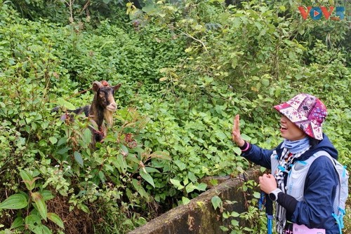 Vietnam’s Ta Xua ranks among world’s best off-grid travel spots for 2026 - ảnh 14