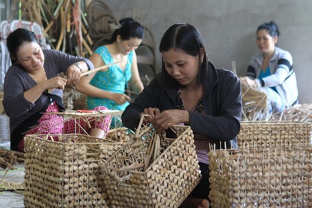 Nâng cao chất lượng đào tạo nghề cho lao động nông thôn - ảnh 1