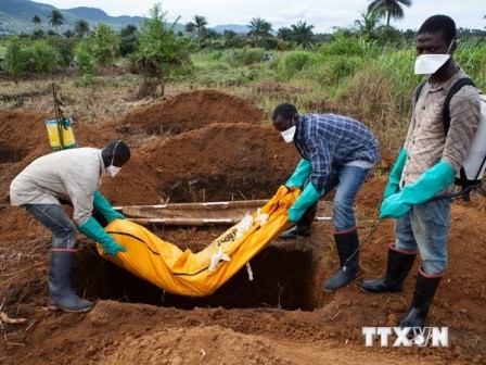 Ngăn chặn dịch Ebola: nhiệm vụ không dễ dàng - ảnh 1