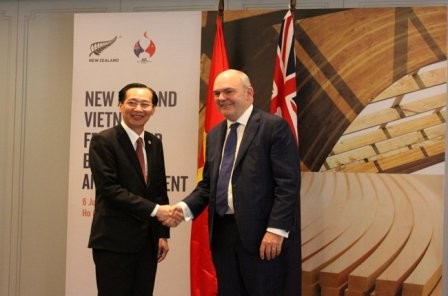 Xây dựng cầu hữu nghị Việt Nam - New Zealand tại Thành phố Hồ Chí Minh  - ảnh 1