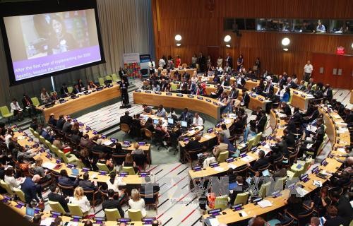 ECOSOC thông qua Tuyên bố cấp Bộ trưởng về xóa nghèo và phát triển bền vững - ảnh 1