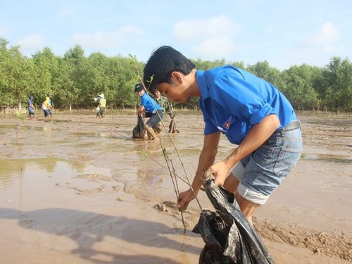 Công bố kết quả khảo sát thanh niên về các Mục tiêu phát triển bền vững  - ảnh 1