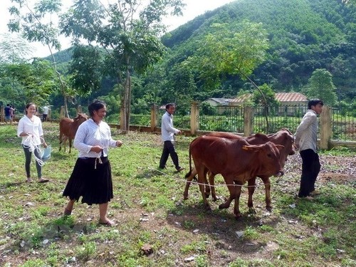 Việt Nam nỗ lực bảo vệ và thúc đẩy quyền của mọi người dân, đóng góp vào những giá trị chung của nhân loại về quyền con người - ảnh 1