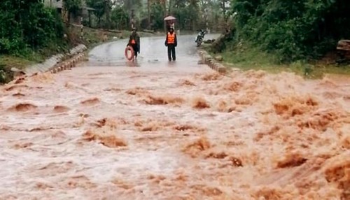 Các tỉnh, thành phố ven biển từ Nghệ An đến Bình Thuận chủ động ứng phó với diễn biến áp thấp nhiệt đới  - ảnh 1