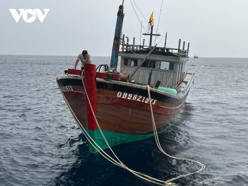 Hải quân Việt Nam hiện đại, đảm bảo nhiệm vụ bảo vệ chủ quyền biển đảo trong tình hình mới - ảnh 3