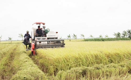 Phát triển kinh tế tập thể, hợp tác xã trong giai đoạn mới - ảnh 1