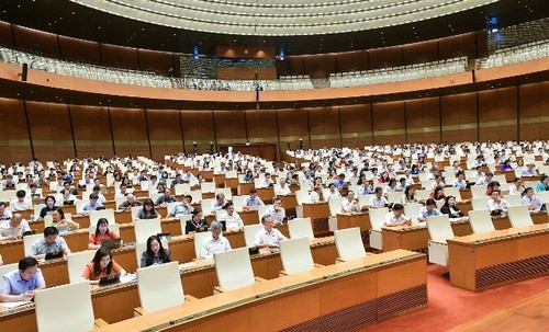 Hôm nay, Quốc hội thảo luận Luật phòng, chống mua bán người (sửa đổi) và Luật tư pháp người chưa thành niên - ảnh 1