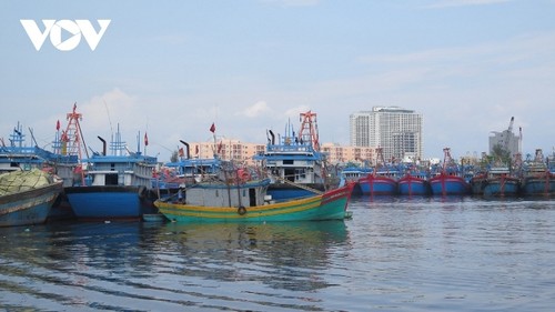 Thông tin biển đảo 06/07/2024 - ảnh 1