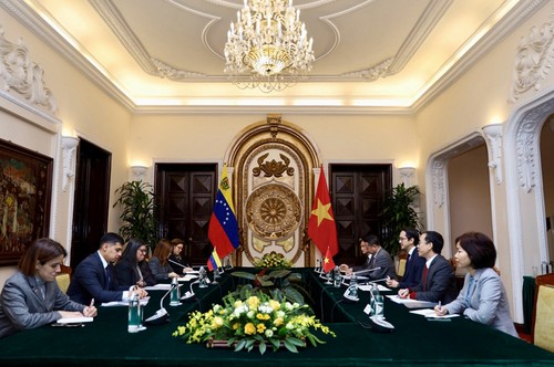 Tham khảo chính trị cấp Thứ trưởng Ngoại giao lần thứ 10 giữa Việt Nam và Venezuela - ảnh 2