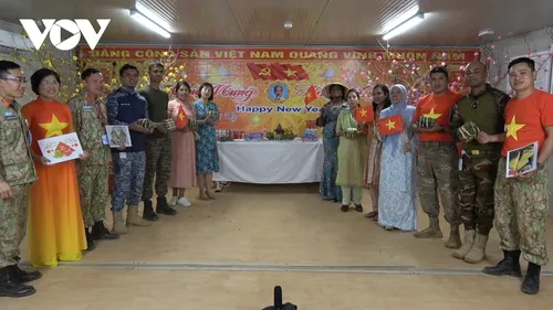 Không khí Tết Việt tại bệnh viện dã chiến Việt Nam ở Nam Sudan - ảnh 1