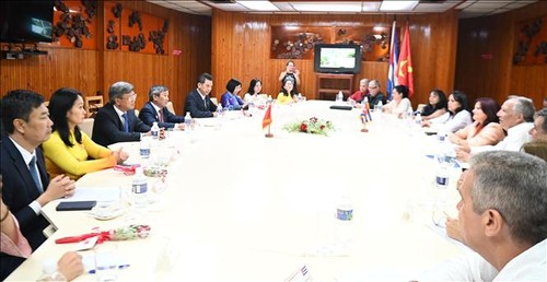 Tăng cường hợp tác giữa các địa phương của Việt Nam và Cuba - ảnh 1