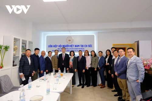 Hà Nội tăng cường hợp tác với các địa phương của Cộng hòa Séc  - ảnh 2