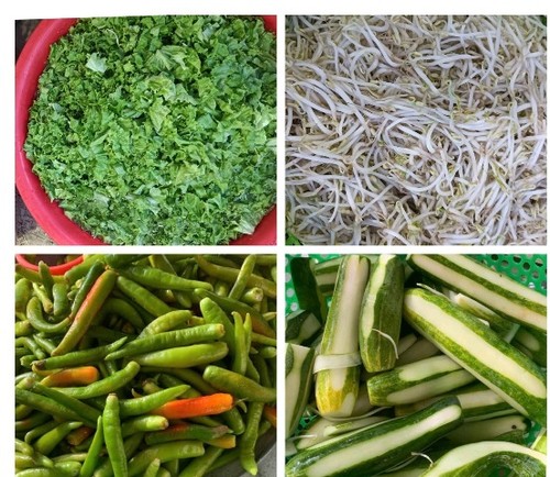 Câu lạc bộ trái tim thiên thần Đà Nẵng: lan tỏa những việc làm ý nghĩa - ảnh 7