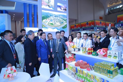 Tiếp tục vun đắp, đưa quan hệ hữu nghị Việt Nam - Lào tiếp tục phát triển bền vững - ảnh 2