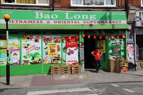 Mang thương hiệu quả vải Việt Nam đến Anh - ảnh 2