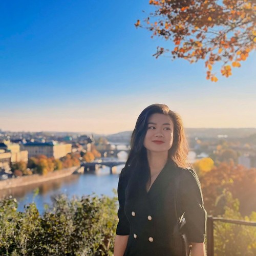 Nguồn lực kiều bào cho sự phát triển  - ảnh 2