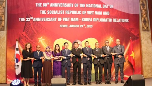 Kỷ niệm Quốc khánh Việt Nam tại Hàn Quốc  - ảnh 1