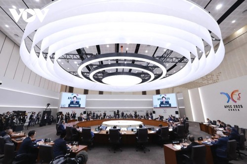 Chủ tịch nước Lương Cường dự Phiên họp thứ hai Hội nghị các nhà lãnh đạo APEC lần thứ 32 - ảnh 1