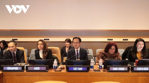 Việt Nam thúc đẩy thực thi hiệu quả hiệp định về đa dạng sinh học biển - ảnh 1