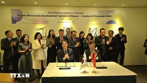 Việt Nam – Hàn Quốc thúc đẩy hợp tác quản lý lao động việc làm và di cư bền vững - ảnh 2