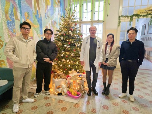 Người Việt ở nước ngoài đón Giáng sinh và năm mới: cảm xúc và hy vọng - ảnh 4