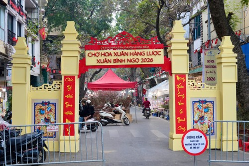 Đặc sắc chợ hoa Xuân phố cổ Hà Nội đón Tết Bính Ngọ 2026 - ảnh 2