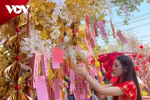 Người Việt tại Lào đi chùa lễ Phật, cầu bình an năm mới - ảnh 5