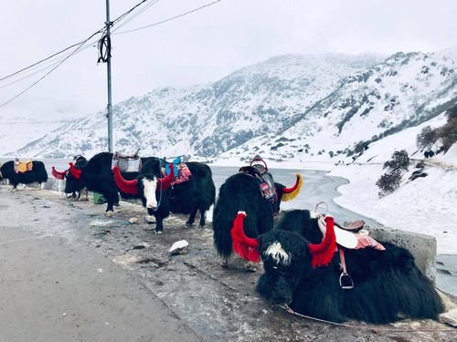 Đại sứ Phạm Sanh Châu quảng bá Việt Nam trên núi Himalaya tuyết trắng - ảnh 7