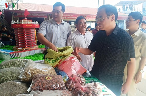 Mãn nhãn với dù lượn “Bay trên mùa nước đổ” tại Mù Cang Chải - ảnh 12