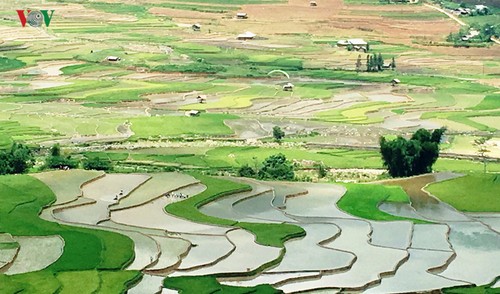 Mãn nhãn với dù lượn “Bay trên mùa nước đổ” tại Mù Cang Chải - ảnh 8