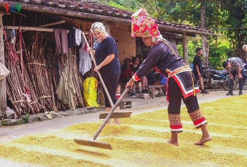 Vùng cao Quảng Ninh thu hút du khách trải nghiệm trong mùa thu - ảnh 5