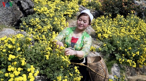 Khám phá núi Mộc đẹp hoang sơ, kỳ bí giữa lòng Mộc Châu - ảnh 6