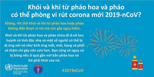 WHO và Bộ Y tế giải đáp mọi thắc mắc về chống virus corona - ảnh 12