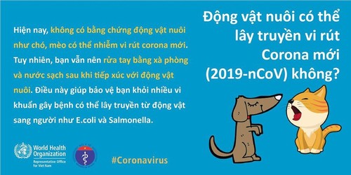 WHO và Bộ Y tế giải đáp mọi thắc mắc về chống virus corona - ảnh 14