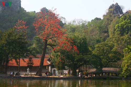 Chùa Thầy đẹp nao lòng mùa hoa gạo tháng 3 - ảnh 1