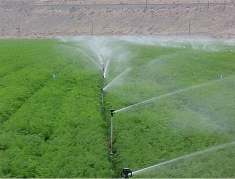 Aplicación de los avances científicos y tecnológicos en la producción agrícola – Vietnam.vn