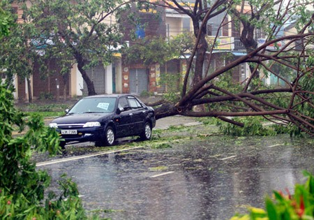 Centro de Vietnam supera pérdidas tras el azote del huracán Nari  - ảnh 1