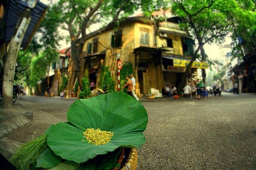 Hanoi en los últimos días del otoño  - ảnh 13