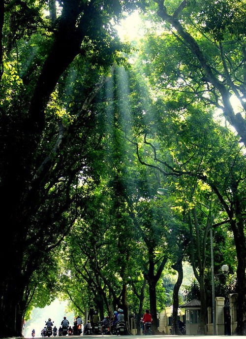 Hanoi en los últimos días del otoño  - ảnh 2