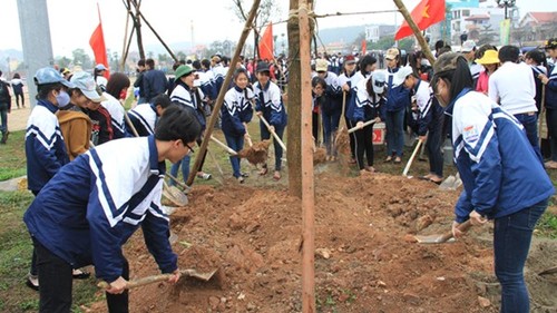 Provincia de Hai Duong se esfuerza para proteger los bosques - ảnh 1