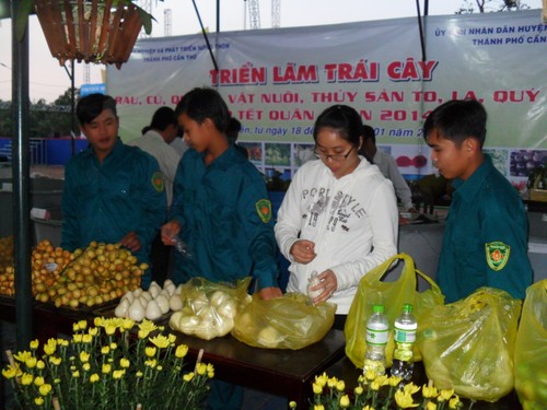 Un Tet feliz para soldados y pobladores de comuna de My Khanh - ảnh 1